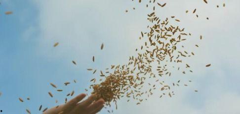 嘿，这就是诗经,探寻古代文化的瑰宝