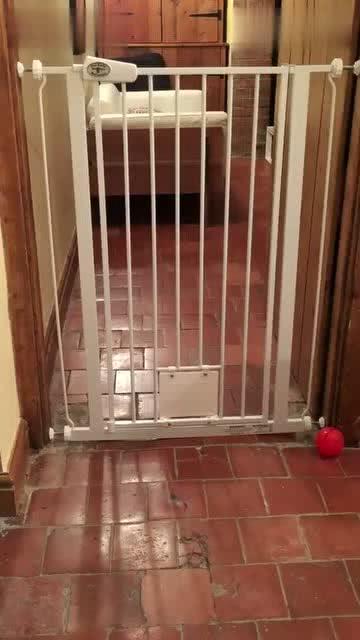 穿过门,揭秘神秘时空的神秘之旅